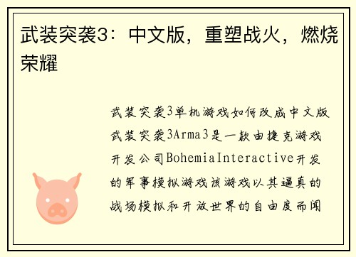 武装突袭3：中文版，重塑战火，燃烧荣耀